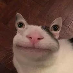 mybadpuns's Avatar'
