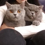 ususususususus's Avatar'