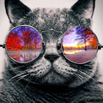 STINKMlNK42's Avatar'