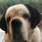 Parkey6581's Avatar'