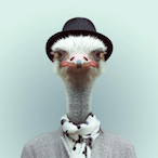 ZaMeYong's Avatar'