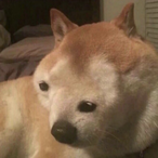 infatuatjon's Avatar'