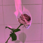 ionlyusematrixx_'s Avatar'
