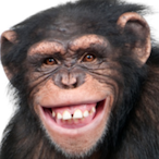 BabaBerdozzo's Avatar'