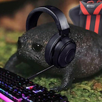 froeschell's Avatar'