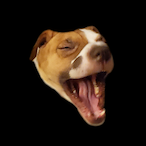 DrSlog's Avatar'
