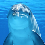 dakoster_23's Avatar'