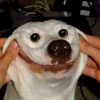 MacabreZOMBiE's Avatar'