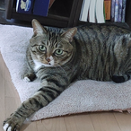 delta_sierra_'s Avatar