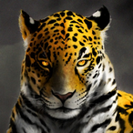 Redhood_Jaguar's Avatar'