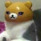 DoomBear001's Avatar'