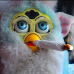 Chicharappp's Avatar'