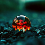 GrIMmJoW_087's Avatar'