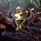 weechunks1312's Avatar'