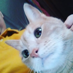 jackrabbit0123's Avatar'