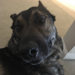 FuttBuckerSteve's Avatar'