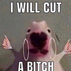 SlightlyNoClue's Avatar'