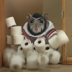 Charrypiker's Avatar'