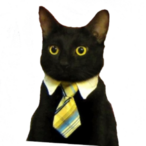 N1csa's Avatar'