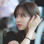 furryfogzh's Avatar'