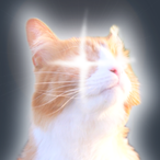 Kloud_Ye0n's Avatar'