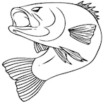 pororonoogie's Avatar'