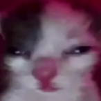 Bruhyanite's Avatar'