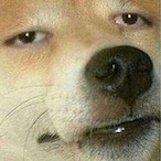 VoicesInMyHed's Avatar'
