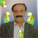 HacuAbi's Avatar'