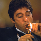 elguero_7's Avatar'