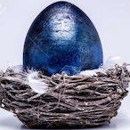 RoyalBlue-Egg's Avatar'