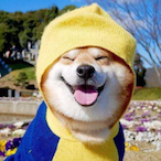 WAKYJ's Avatar'
