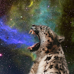 InvrtbrateJelly's Avatar'