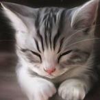 maximay2018's Avatar