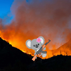 UKoala.'s Avatar'