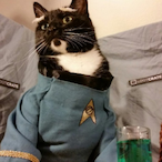 Squiddddeee's Avatar