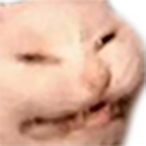 Gerbert SAB's Avatar'