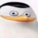 Derpybiloo's Avatar'