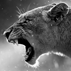 TheRoyalDeluxe's Avatar'