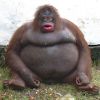 CocoCrisps.'s Avatar'