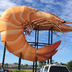 LordOfShrimp's Avatar'