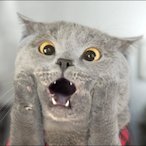 Alberto65289's Avatar'