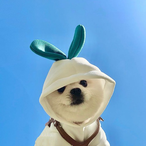 Mint_ttt's Avatar'