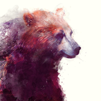 Apollo.Bear's Avatar'