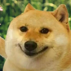 baddonbaconreal's Avatar'