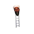 BigChief695's Avatar'