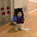 Shichugami's Avatar'