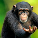 lkilInIIgrz's Avatar'