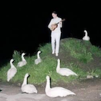 paulrollls's Avatar'