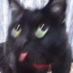 KusoNerdXD's Avatar'